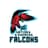 Antigua & Barbuda Falcons