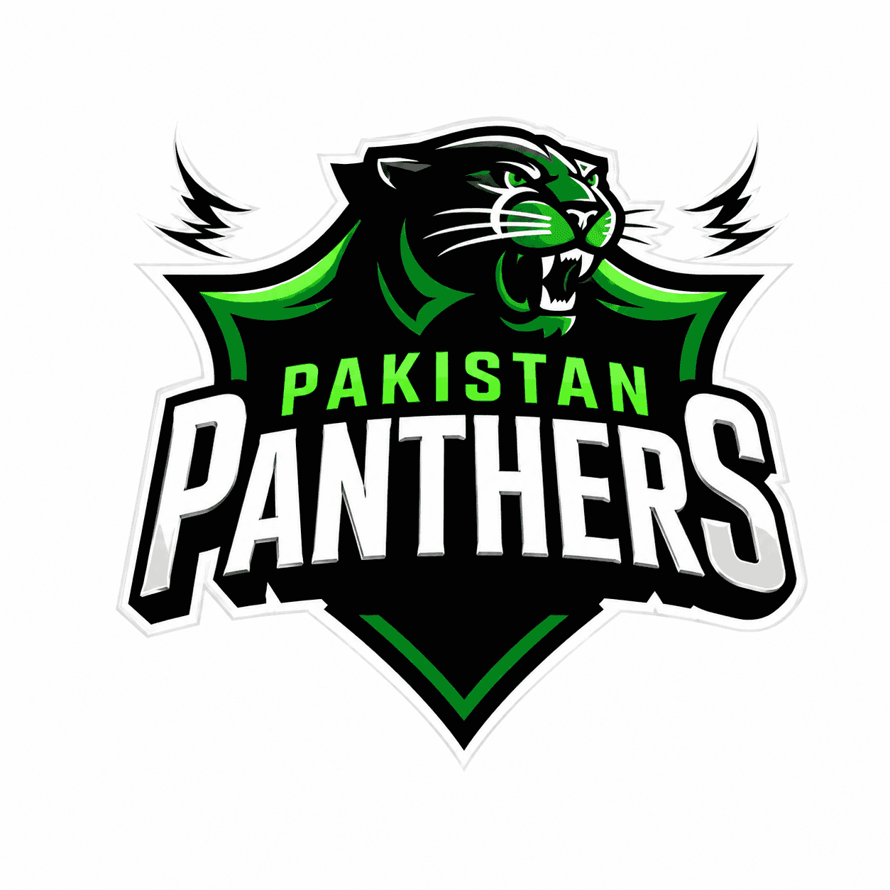 Pakistan Panthers
