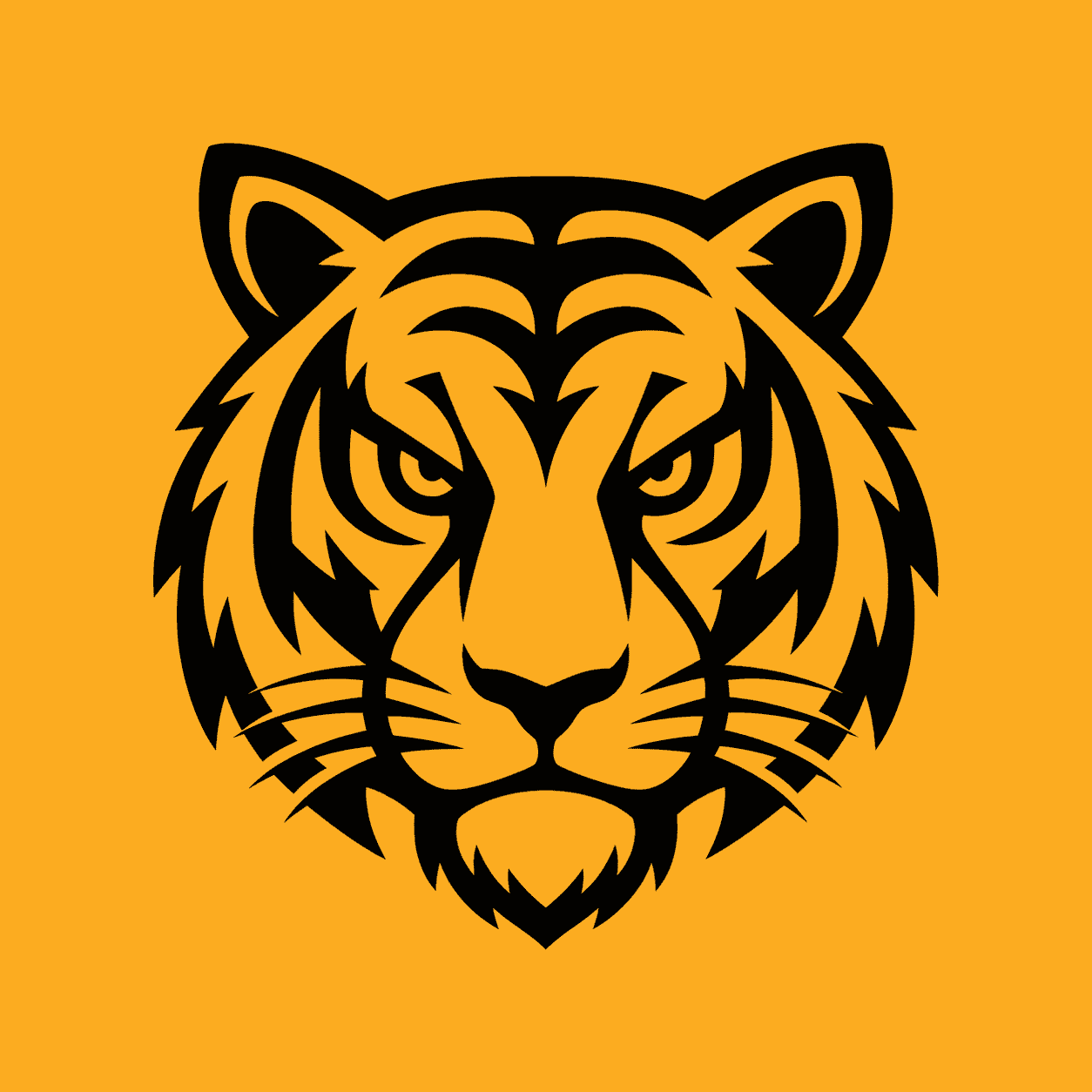Bangladesh Tigers